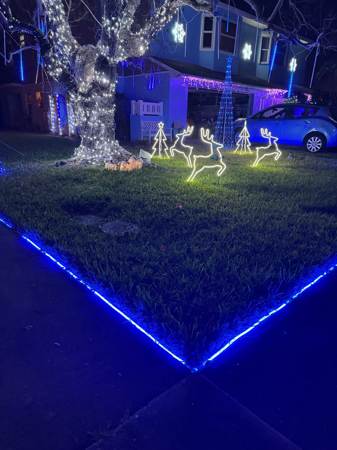 christmas lights