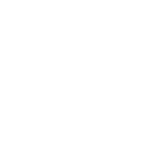 ceiling spot lights icon 500x500 white.png