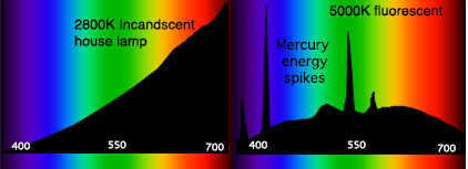 Understanding Colour Temperature